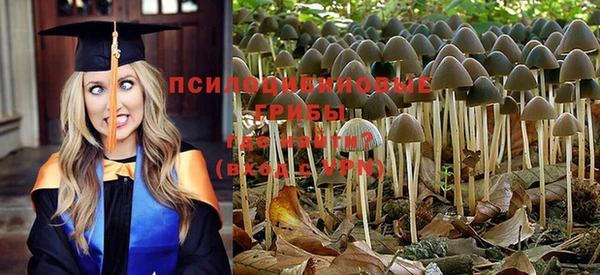 МДМА Новодвинск