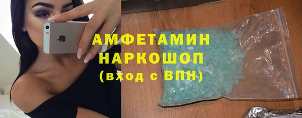 молекула духа Галич