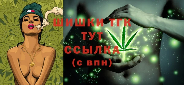 МДПВ Гвардейск